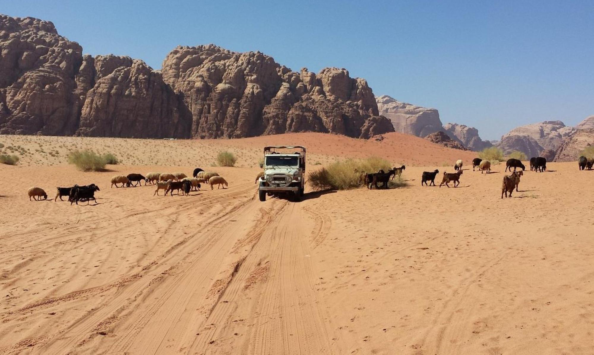 Authentic Bedouin Camp วาดิรัม ภายนอก รูปภาพ